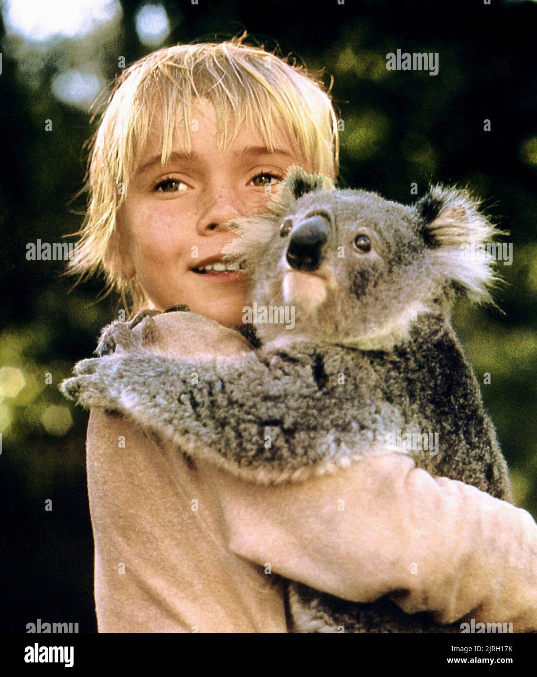 RICK SCHRODER, le koala, le Terrien, 1980 Banque D'Images