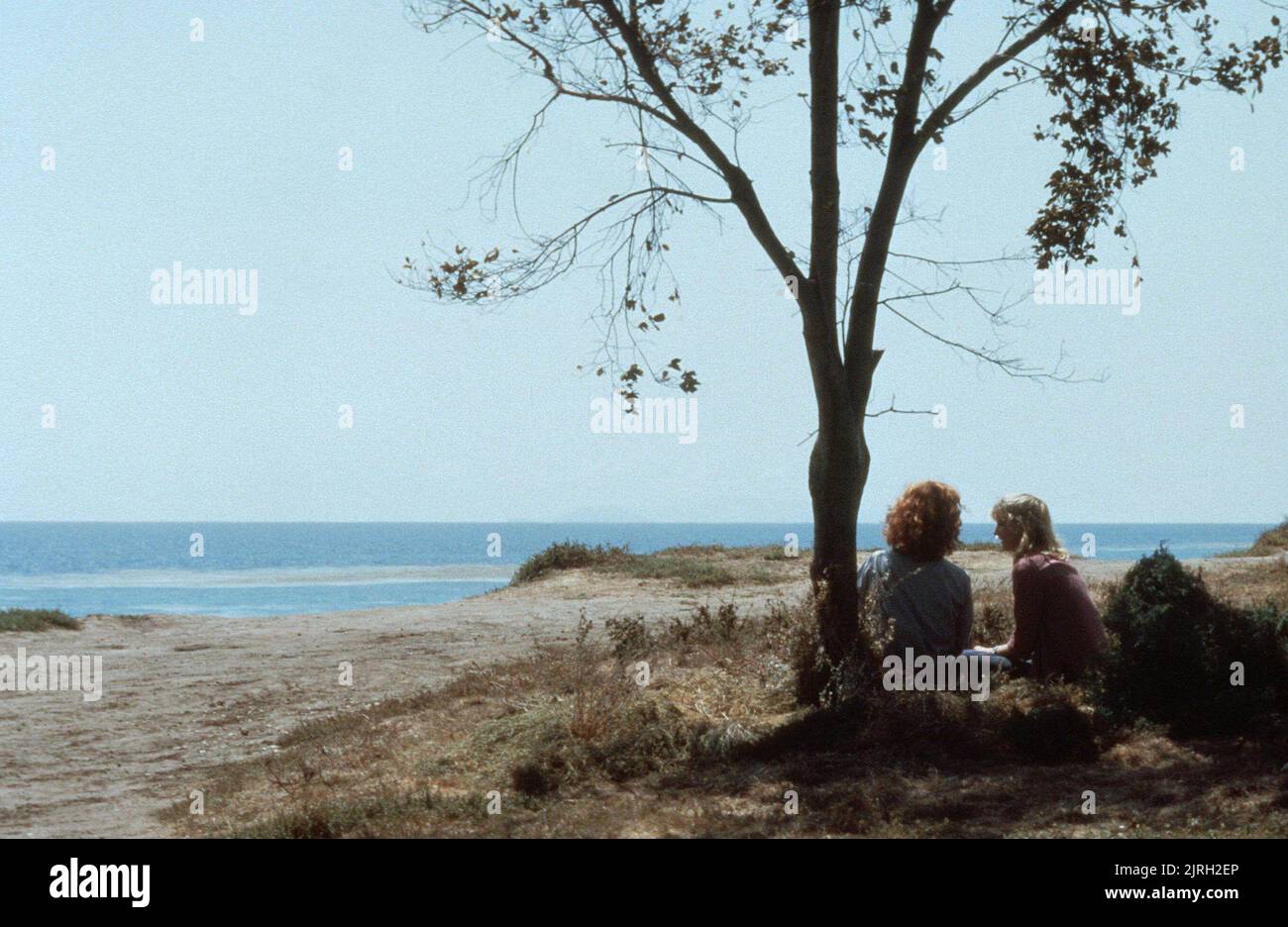 ERIC STOLTZ, LAURA DERN, MASQUE, 1985 Banque D'Images