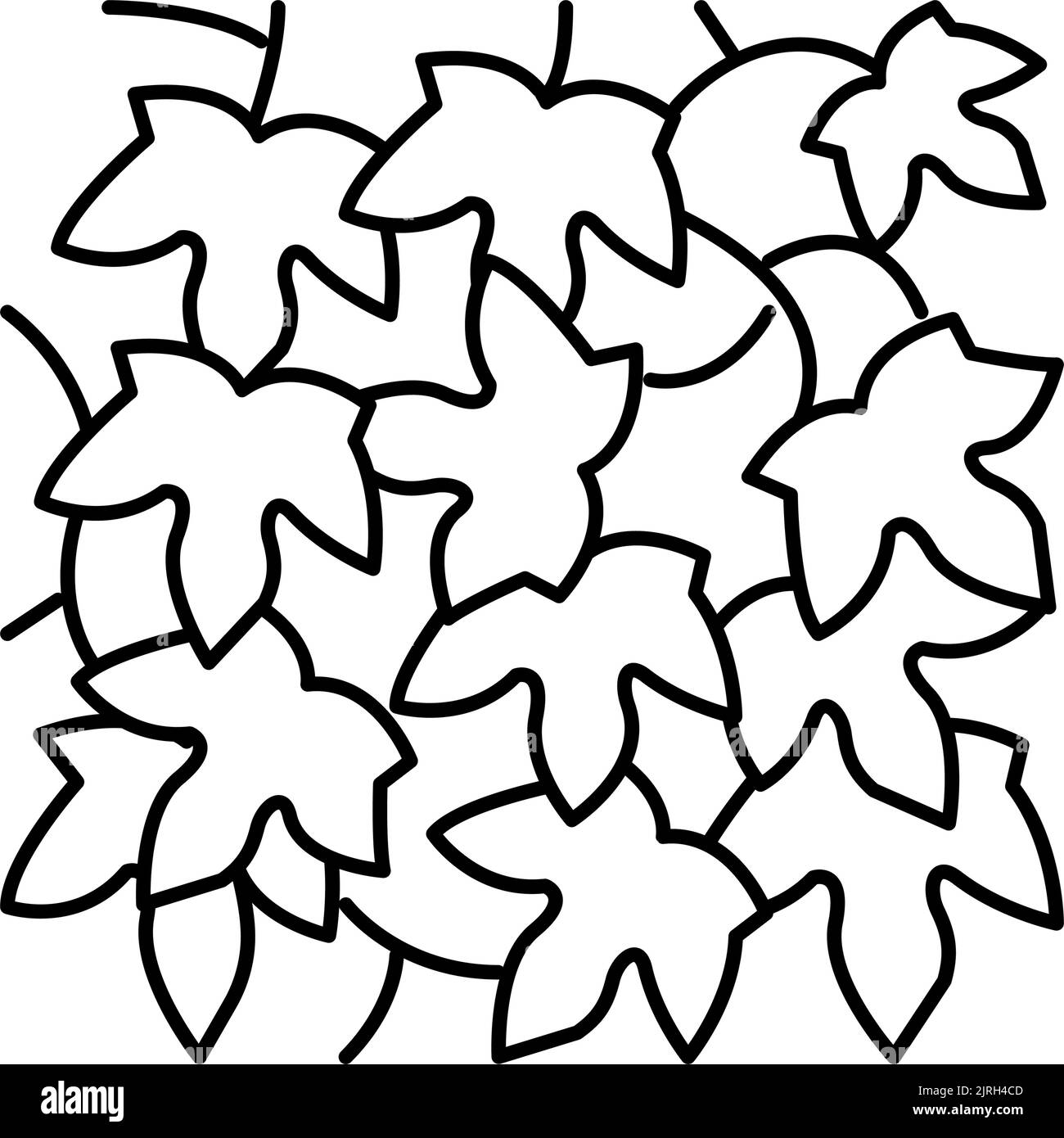 illustration vectorielle de l'icône hedera helix line Illustration de Vecteur