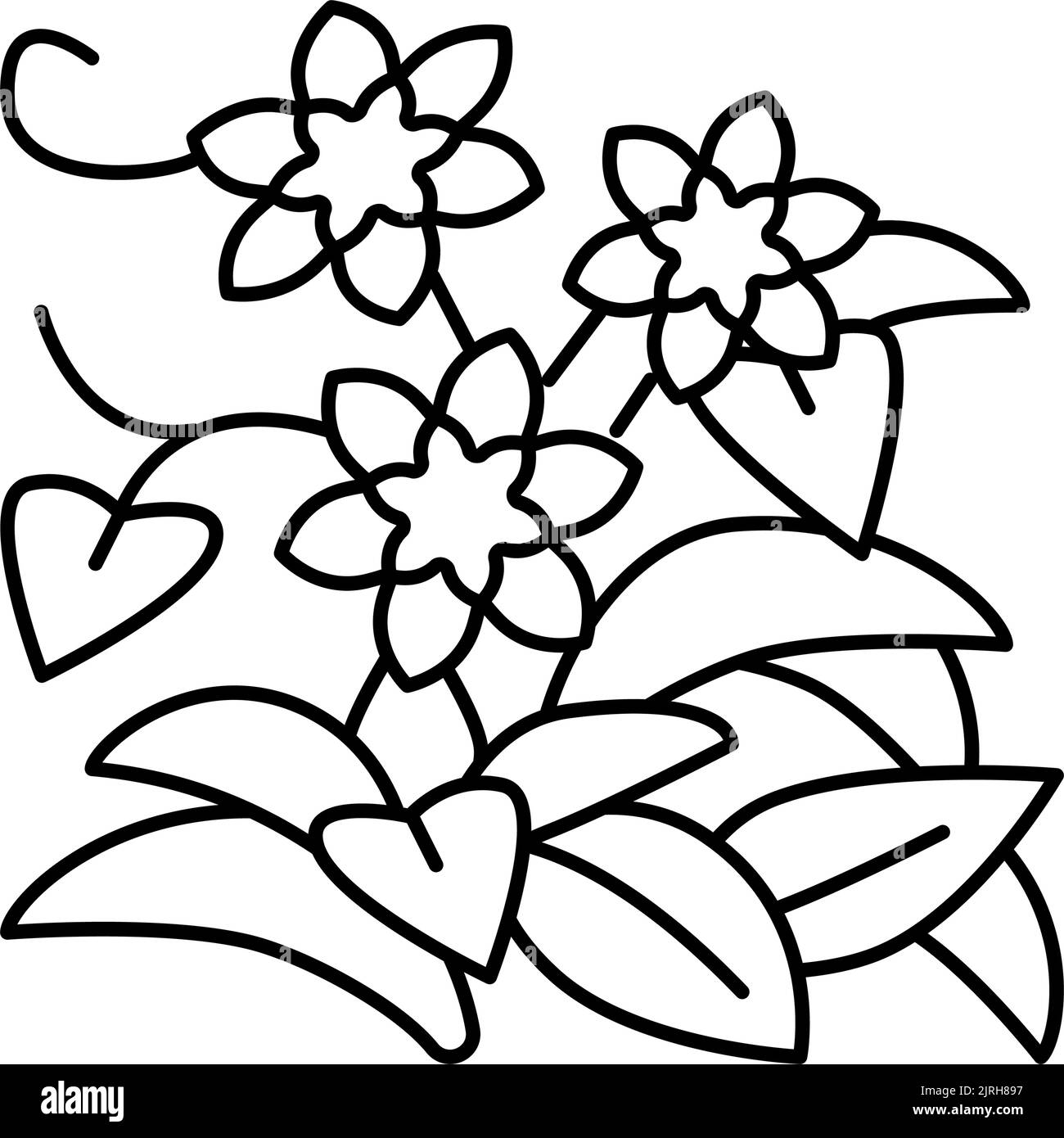 illustration vectorielle de l'icône de la ligne de croissance clematis Illustration de Vecteur