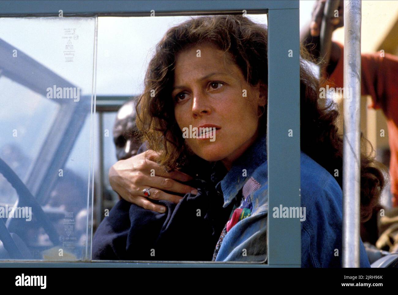 SIGOURNEY WEAVER, GORILLES DANS LA BRUME, 1988 Banque D'Images