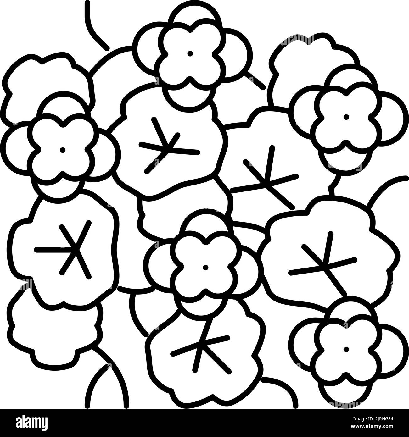 illustration du vecteur de l'icône de la ligne de naturtium liana Illustration de Vecteur