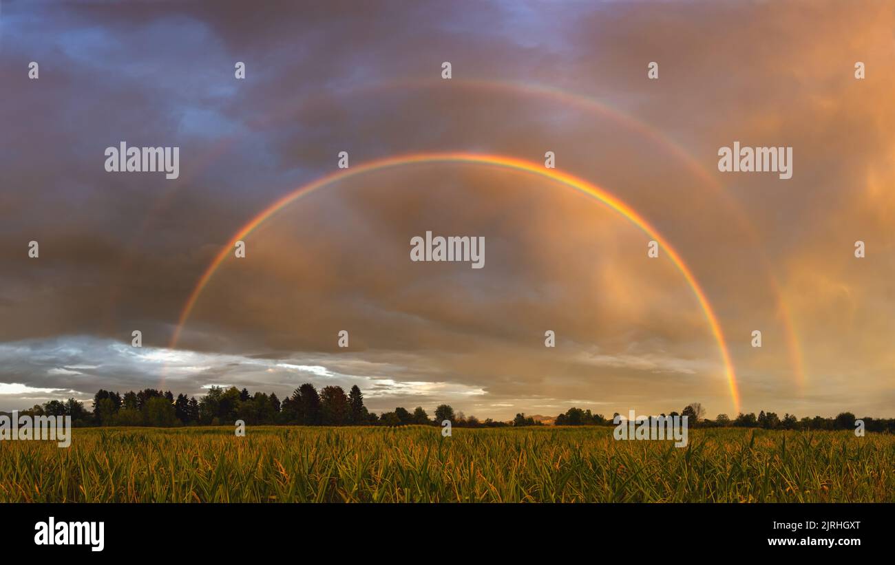 Double arc-en-ciel sur le terrain après la pluie au coucher de soleil spectaculaire et coloré Banque D'Images