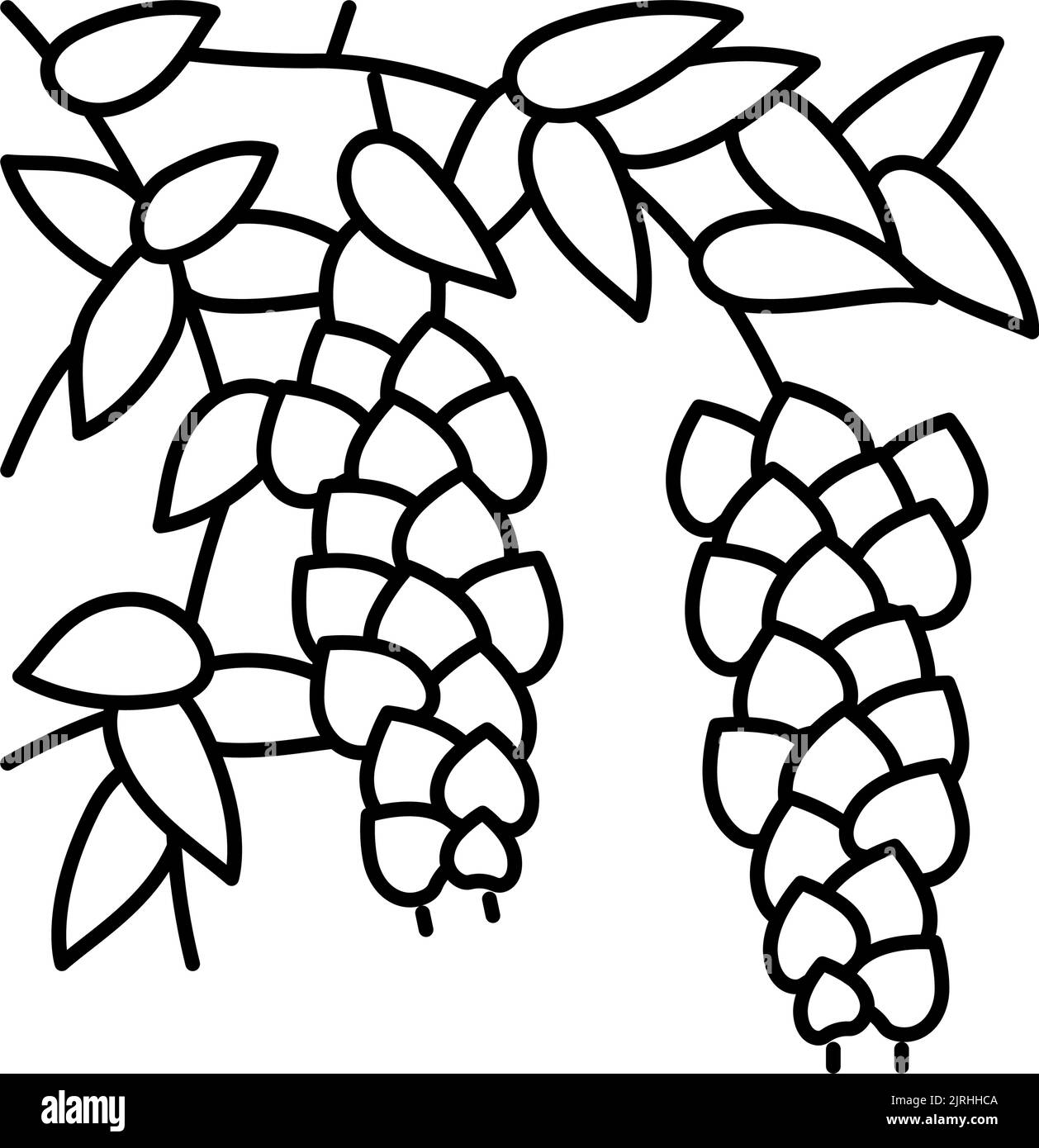 illustration du vecteur de l'icône de la ligne wisteria liana Illustration de Vecteur