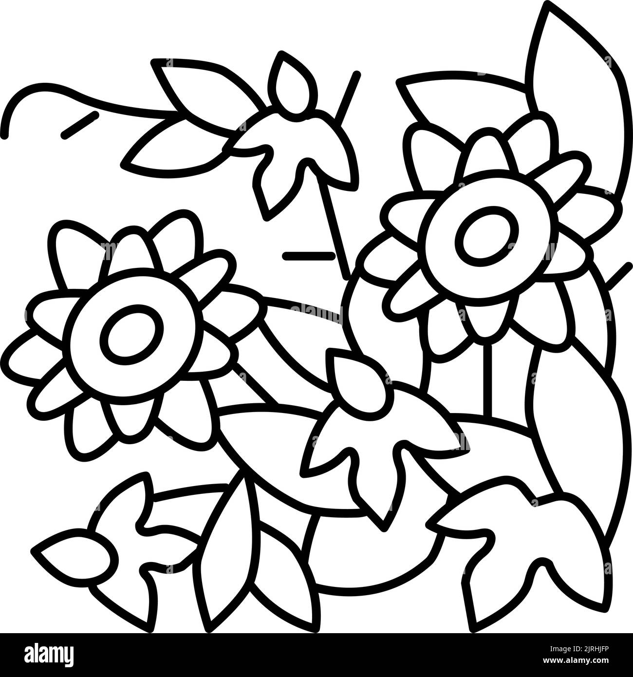 illustration vectorielle de la ligne de liana de fleurs de passiflora Illustration de Vecteur