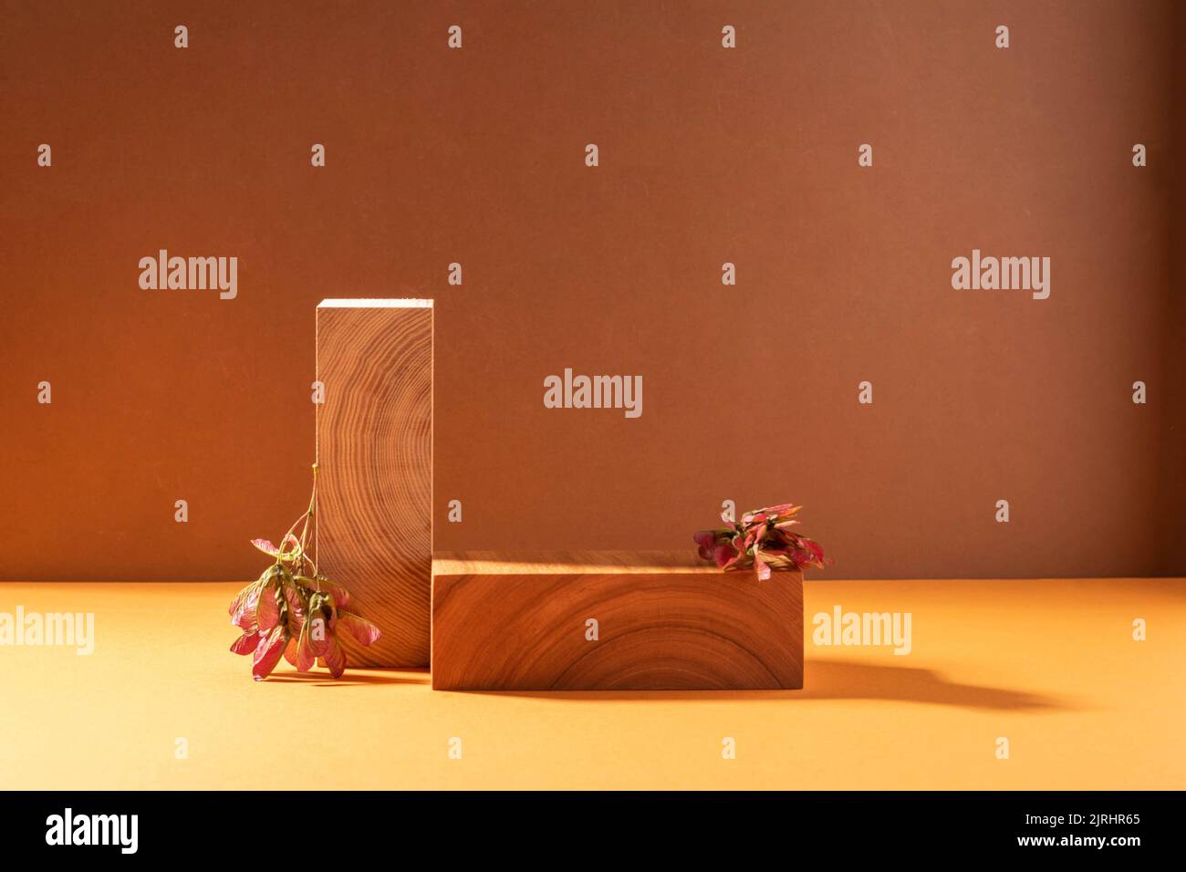 Podium abstrait moderne fait de figures en bois fond brun, ombre de lumière dure copier l'espace maquette Banque D'Images