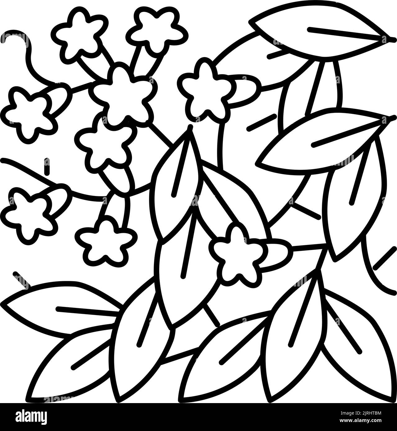 illustration vectorielle de l'icône de ligne de bigonia cabreolata Illustration de Vecteur