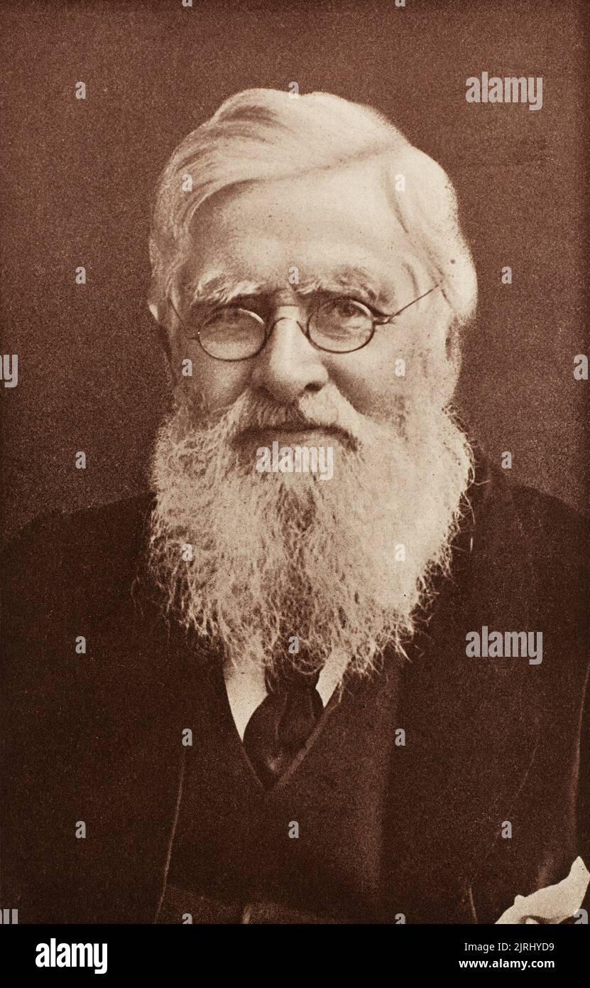 Portrait d'Alfred Russel Wallace (1823-1913), naturaliste britannique Banque D'Images