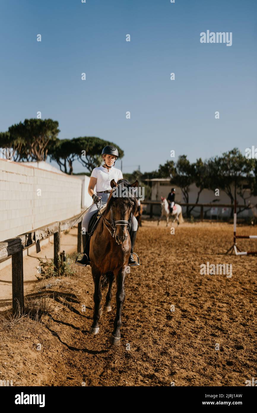 photo verticale d'une jeune femme qui s'échauffe avec son cheval brun dans l'arène d'équitation Banque D'Images