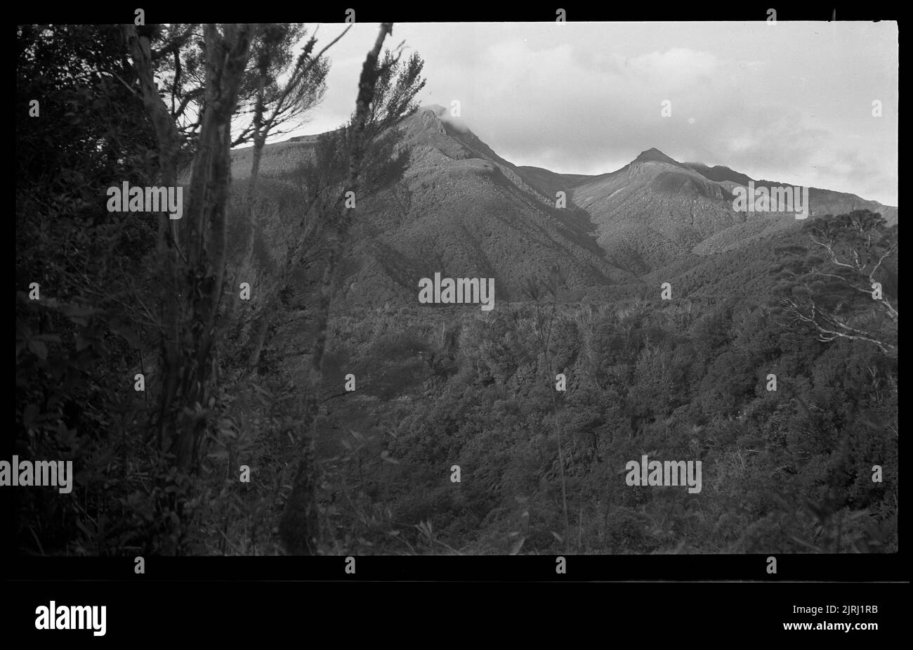 Pouakai Range, Mont Egmont (Taranaki), 15 décembre 1935, fabricant inconnu. Collection Butler/Crown Studios F B. Don de Frederick B Butler, 1971. Banque D'Images