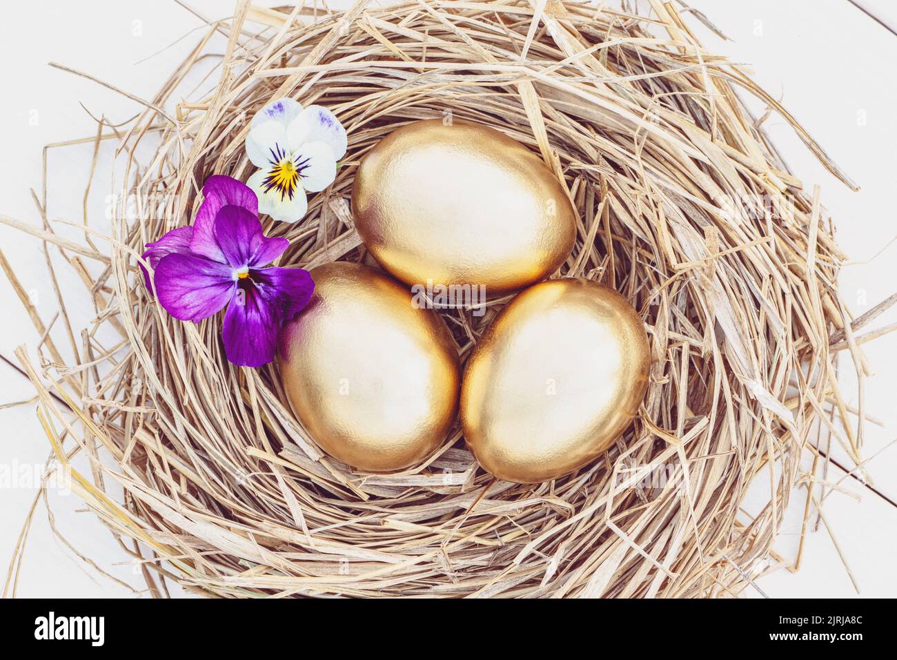 Œufs de Pâques dorés dans un nid de foin avec fleurs, vue sur fond blanc Banque D'Images