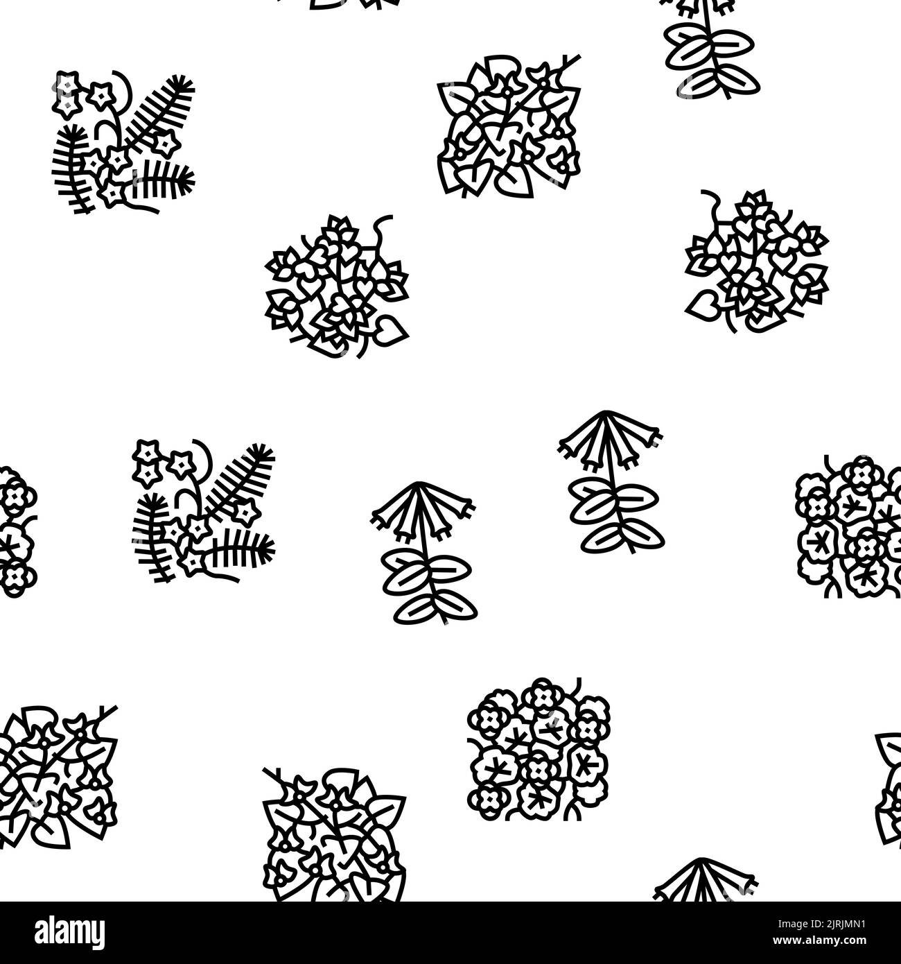 Vigne Liana exotique croissance plante vecteur sans couture motif Illustration de Vecteur