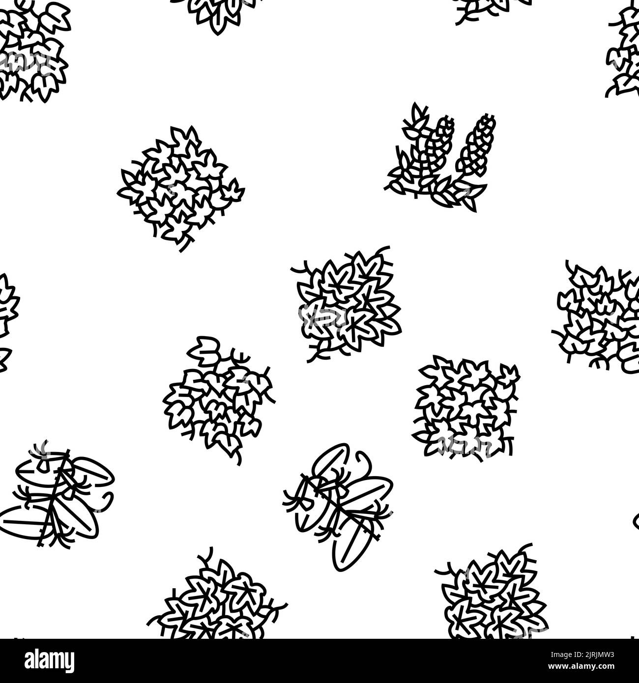 Vigne Liana exotique croissance plante vecteur sans couture motif Illustration de Vecteur