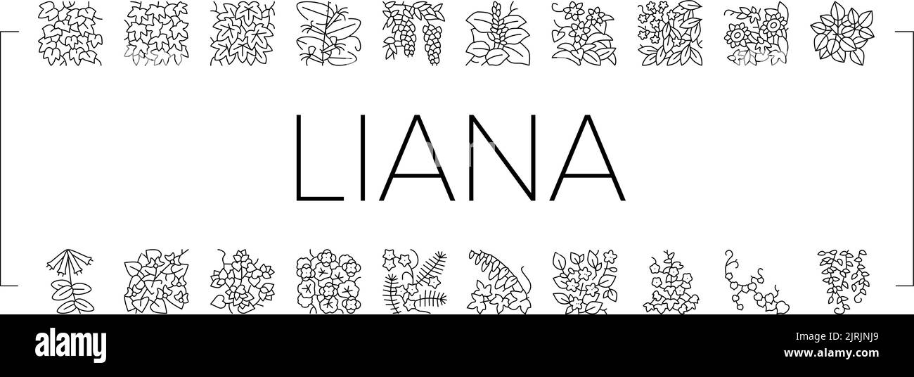 Vigne Liana plantes exotiques icônes Set Vector Illustration de Vecteur