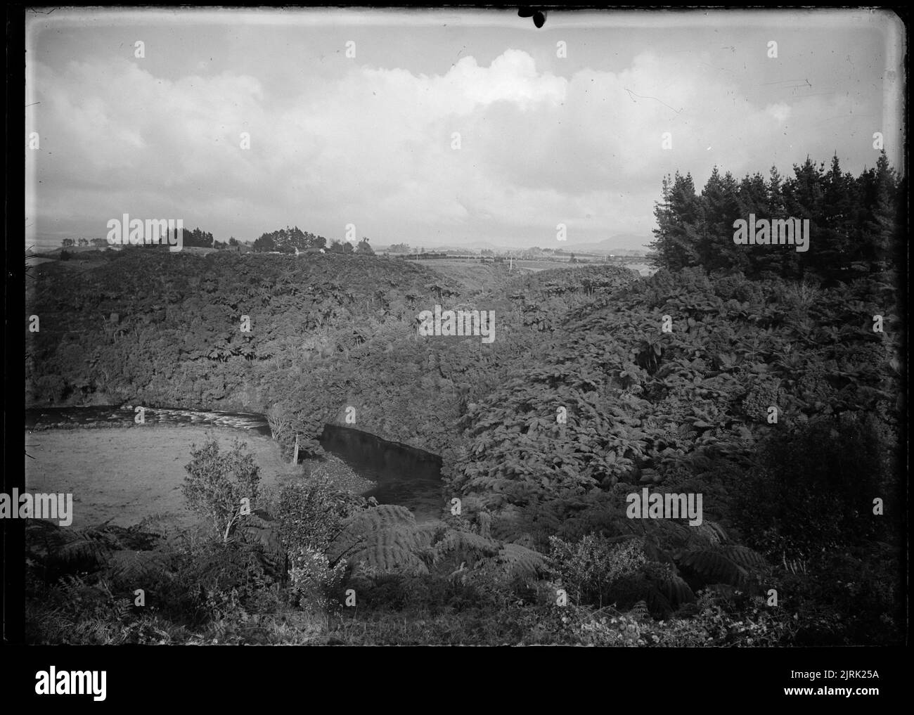 Vallée de la rivière et fougères arborescentes, par J.W. Chapman-Taylor. Banque D'Images