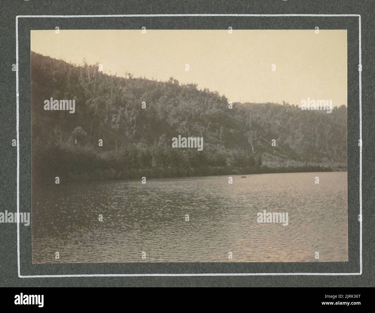 À Wellington : le réservoir de Wainui-o-mata en direction de la tête de la vallée, 22 octobre 1904. Tirée de l'album: Family Photographs [1904-1907], 1904, Levin, par Leslie Adkin. Banque D'Images