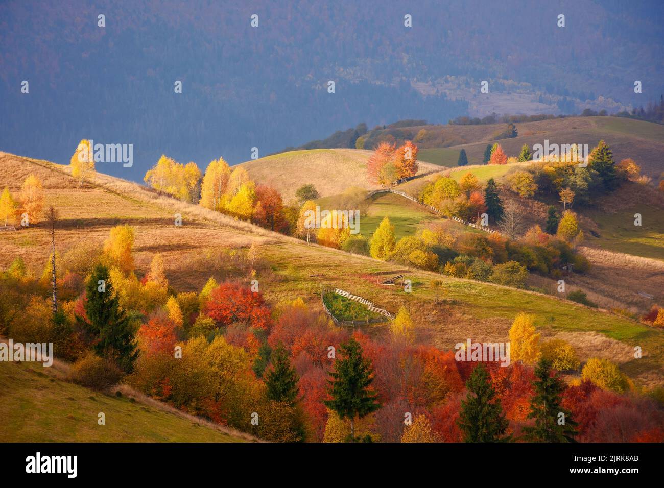 vue imprenable sur les montagnes carpathes le jour de l'automne. collines boisées dans les couleurs de l'automne se déroulant dans la vallée rurale éloignée. nuages bas lourds sur le s Banque D'Images