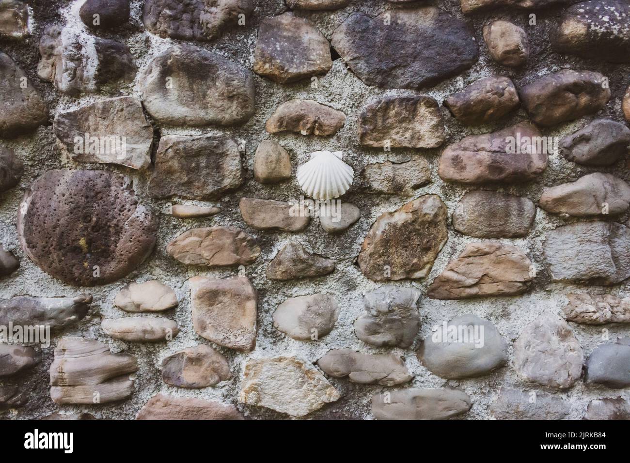 Coque sur paroi en pierre. Symbole de pèlerinage. Camino de Santiago paysage, Espagne. Coquille blanche sur mur en pierre. Banque D'Images