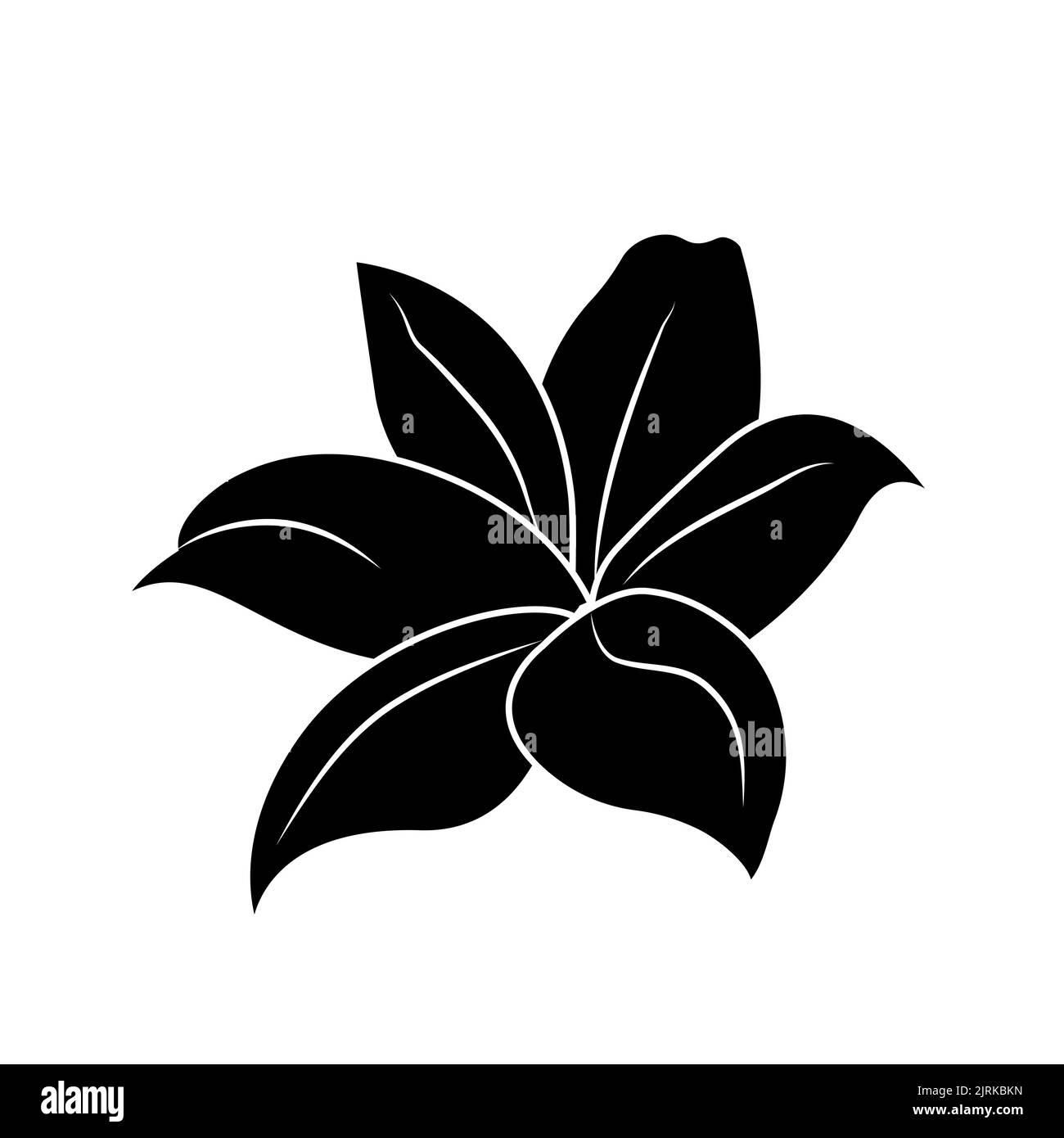 Silhouette de Lily, logo ou tatouage, fleur décorative isolée sur fond blanc. Illustration florale, nature. Vecteur Illustration de Vecteur