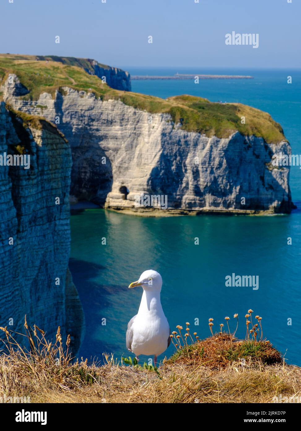 Falaises d'Etretat, Normandie, France Banque D'Images