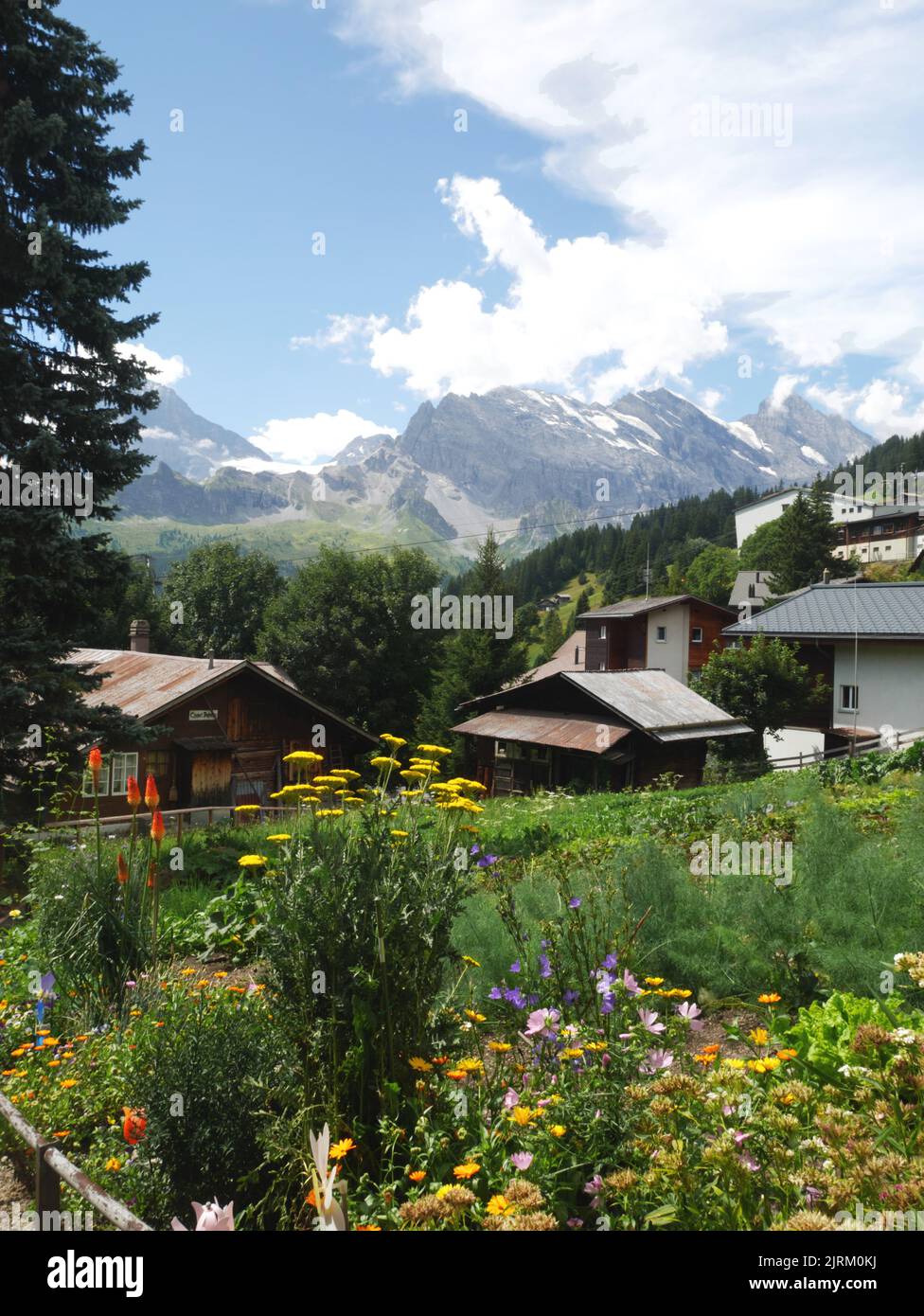Chalets et montagnes, Murren, Oberland bernois, Suisse. Banque D'Images