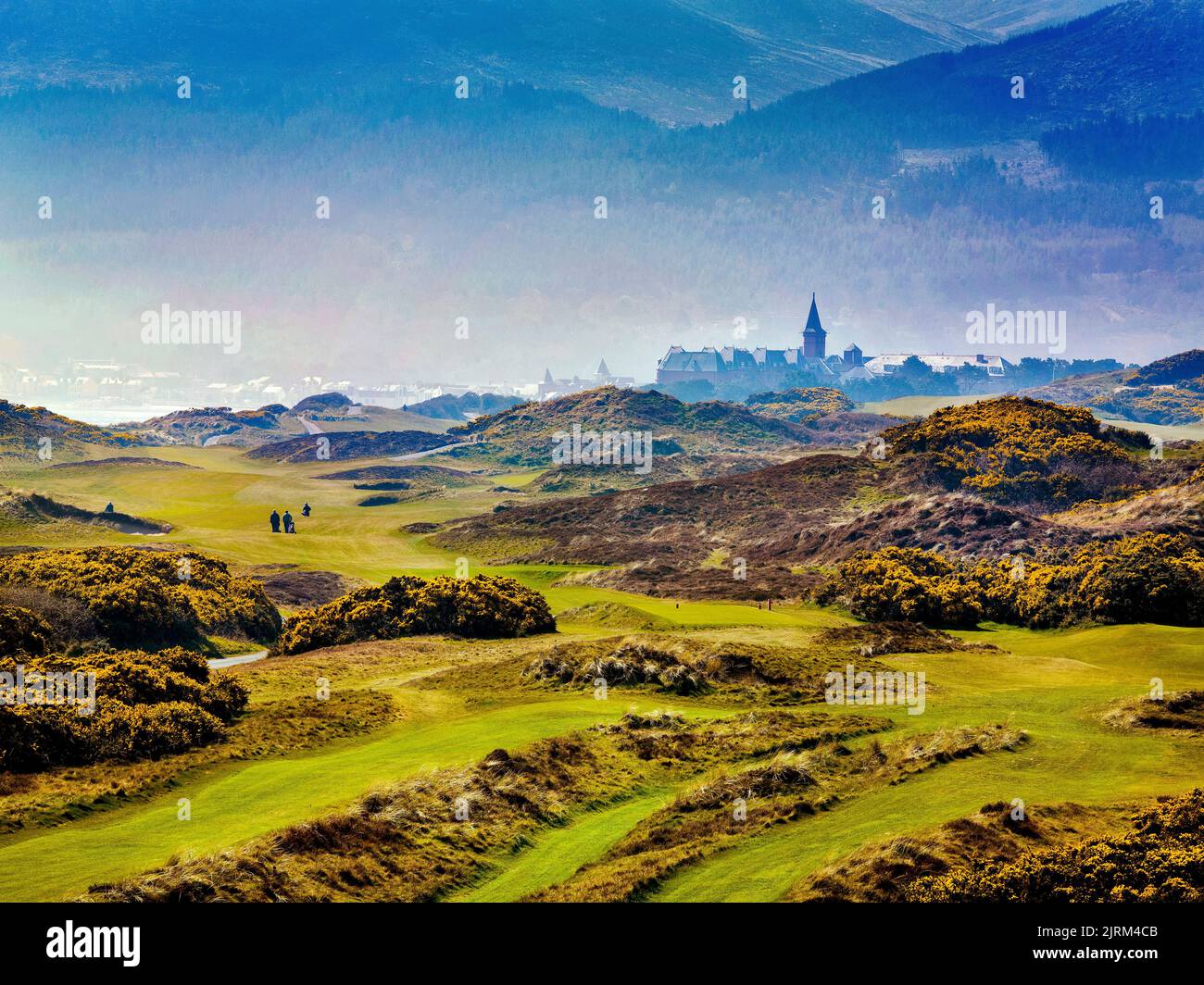Parcours de golf Royal County Down, Newcastle, Irlande du Nord Banque D'Images