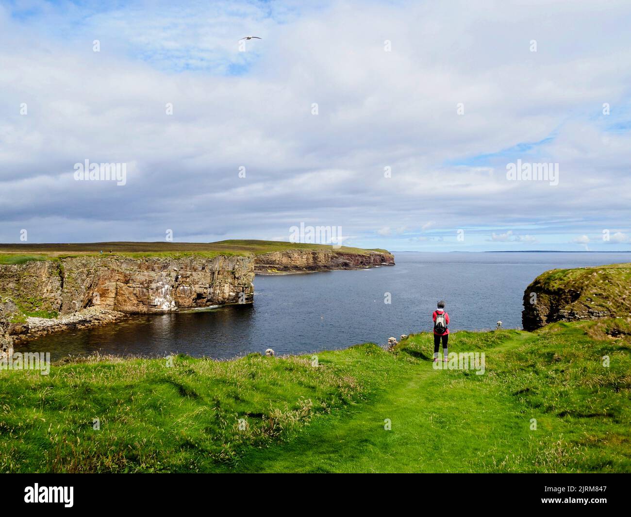 Mull Head, Mainland, Orkney, Écosse Banque D'Images