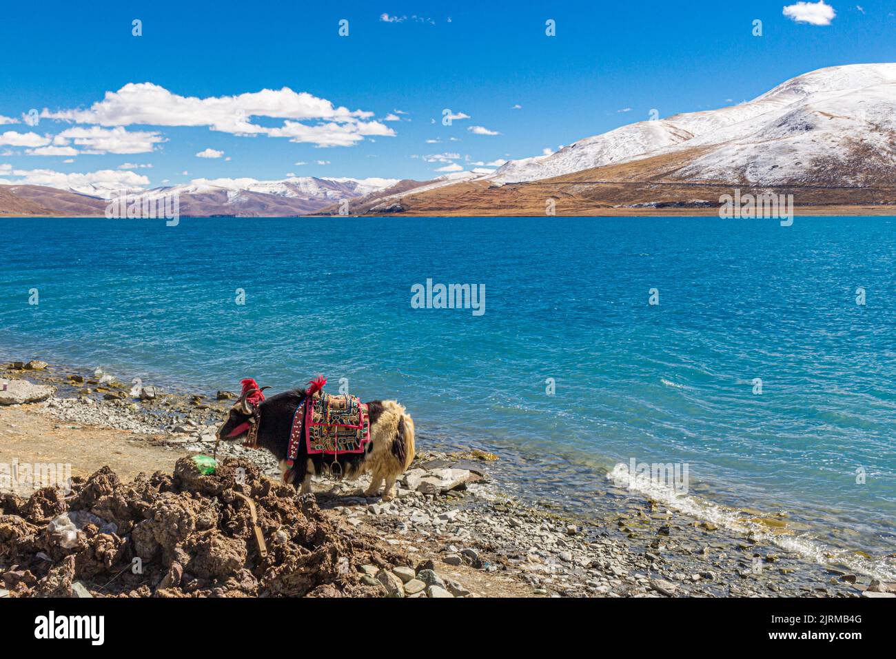 Lac Yangzhuo Yongcuo également connu comme le lac occidental mince est proche de Lhassa, Tibet, Chine - image prise sur l'autoroute de l'amitié tibétaine. Banque D'Images