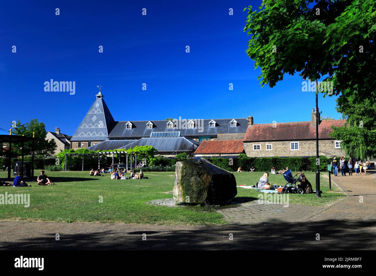 Vue d'été sur les jardins Jubilee, rivière Great Ouse, Ely City, Cambridgeshire, Angleterre, Royaume-Uni Banque D'Images
