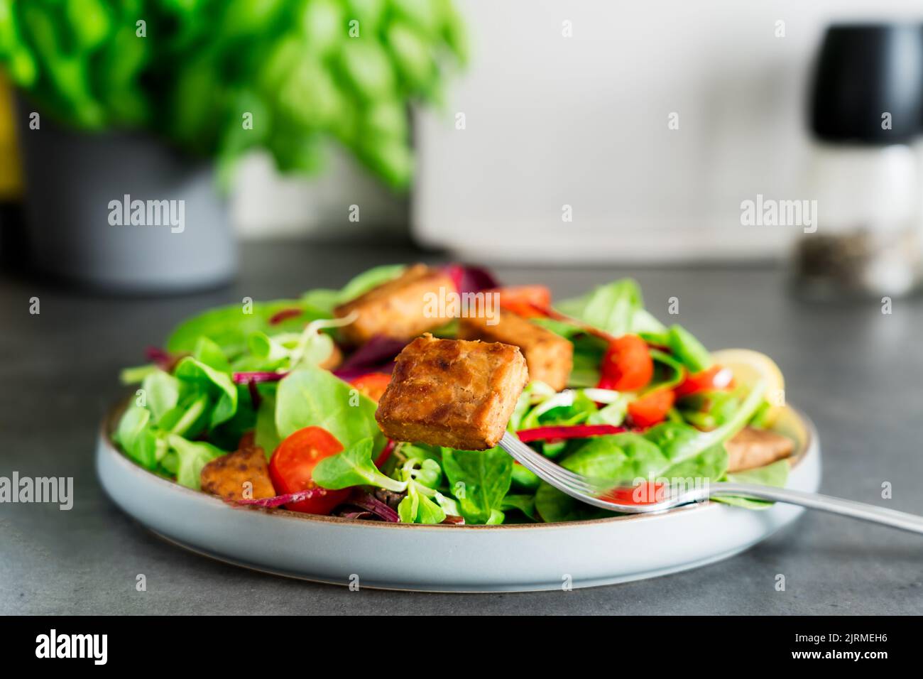 Salade saine avec tempeh rôti, tomates cerises fraîches, pailles de betterave, spinash et feuilles de laitue sur l'assiette. La tempeh est une graine de soja fermentée. Bas de l'usine Banque D'Images Salade saine avec tempeh rôti, tomates cerises fraîches, pailles de betterave, spinash et feuilles de laitue sur l'assiette. La tempeh est une graine de soja fermentée. Bas de l'usine Banque D'Images