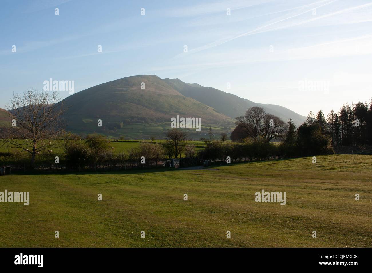 Les champs d'herbe séparés par des arbres avant les montagnes sous le ciel bleu Banque D'Images