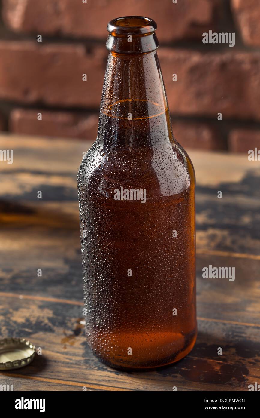 Bière d'artisanat fraîche et rafraîchissante dans une bouteille prête à boire Banque D'Images