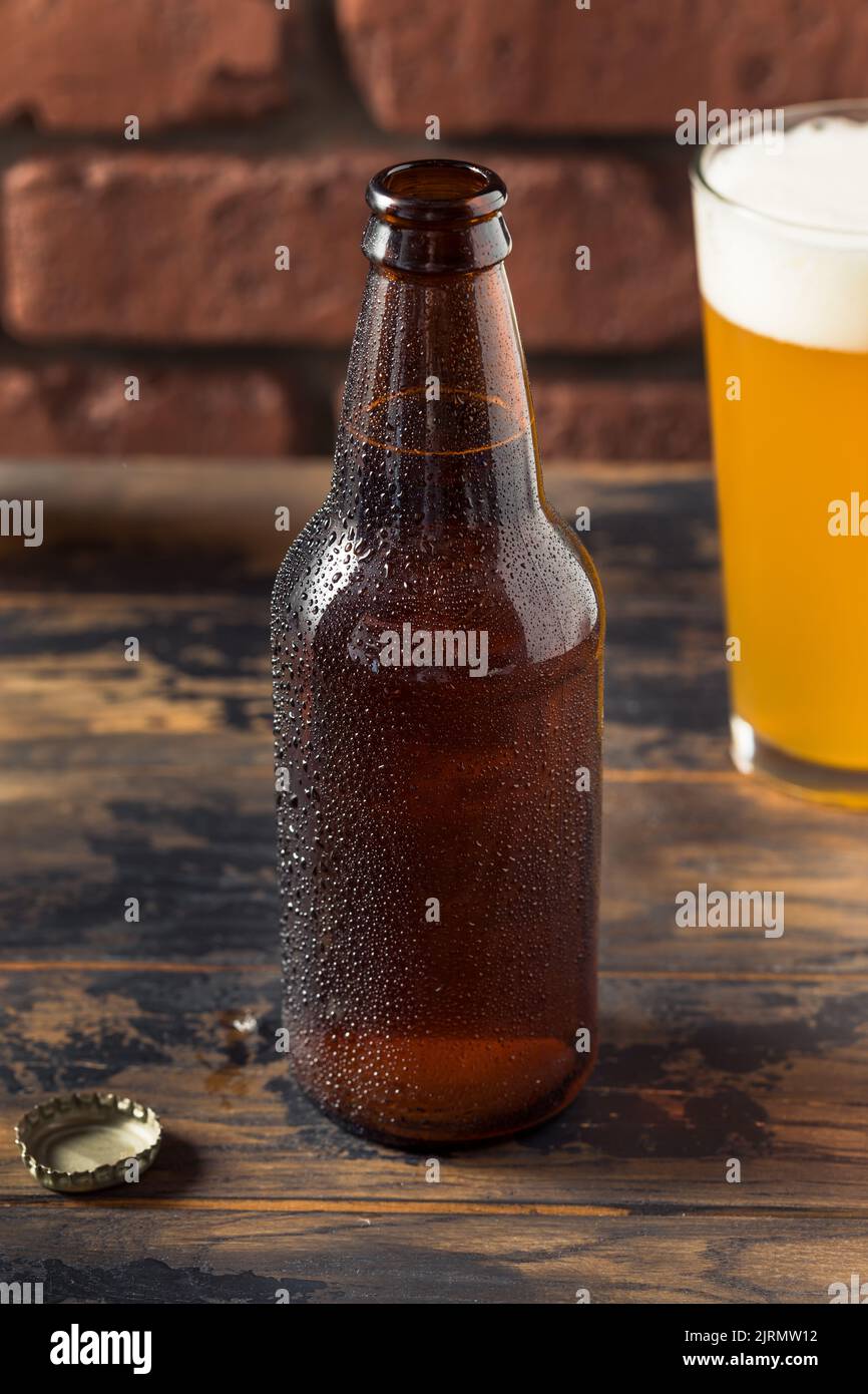 Bière d'artisanat fraîche et rafraîchissante dans une bouteille prête à boire Banque D'Images