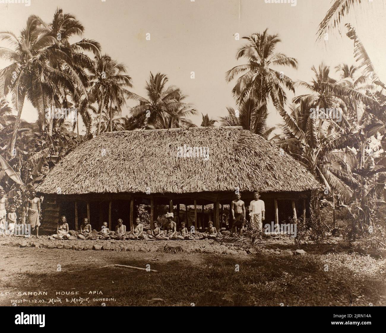 Maison de Samoan, Apia, 1880s, Apia, par Burton Brothers. Banque D'Images