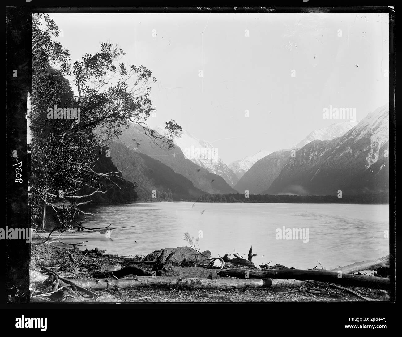 [Tête du lac depuis Sandfly point, branche de Worsley Creek, te Anau], 1889, Dunedin, Par Burton Brothers, Alfred Burton. Banque D'Images