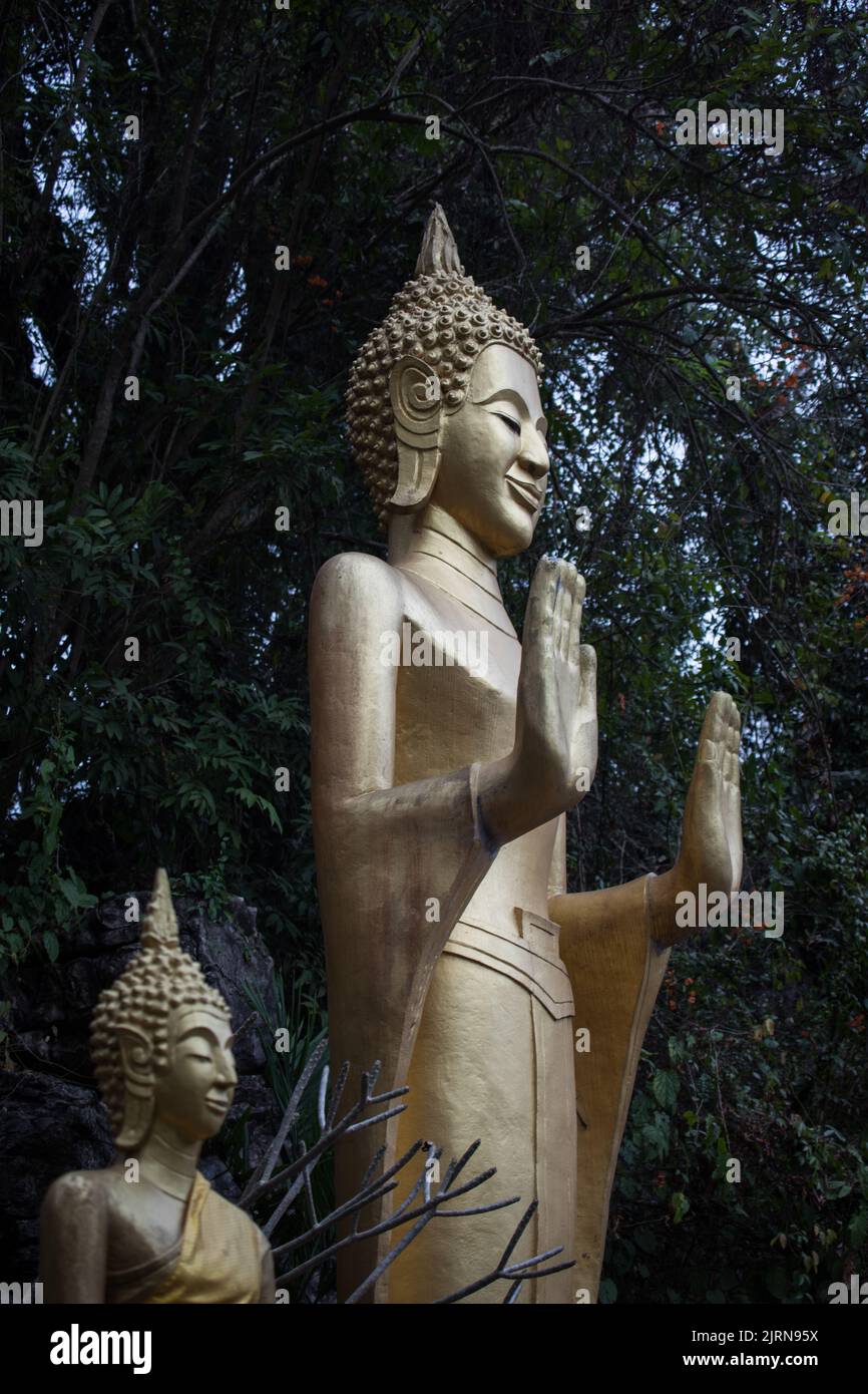 Une photo verticale de la statue de Bouddha dans un parc Banque D'Images
