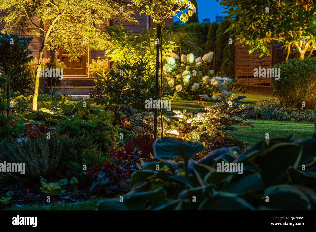 Lumières À DEL illuminées petit jardin de jardin de nuit. Plantes de rockery, arbres décoratifs et fleurs. Banque D'Images