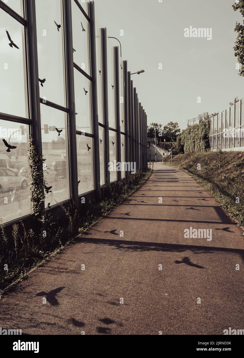 Un cliché vertical d'une barrière avec des autocollants d'oiseaux à côté d'une route et d'une piste cyclable dans la rue Jan Pawla Banque D'Images