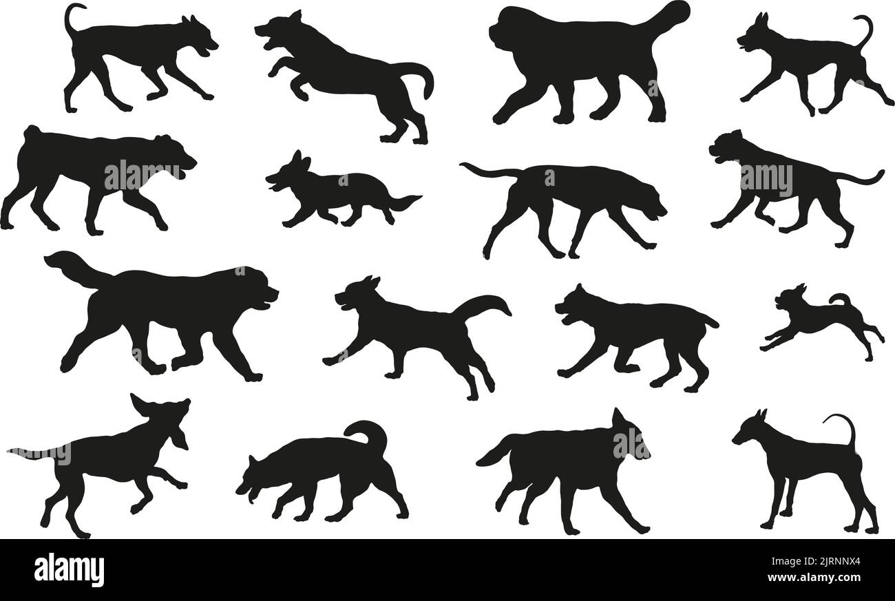 Groupe de chiens de différentes races. Silhouette de chien noire. Course à pied, debout, marche, saut, reniflage des chiens. Isolé sur un fond blanc. Animaux de compagnie. Illustration de Vecteur