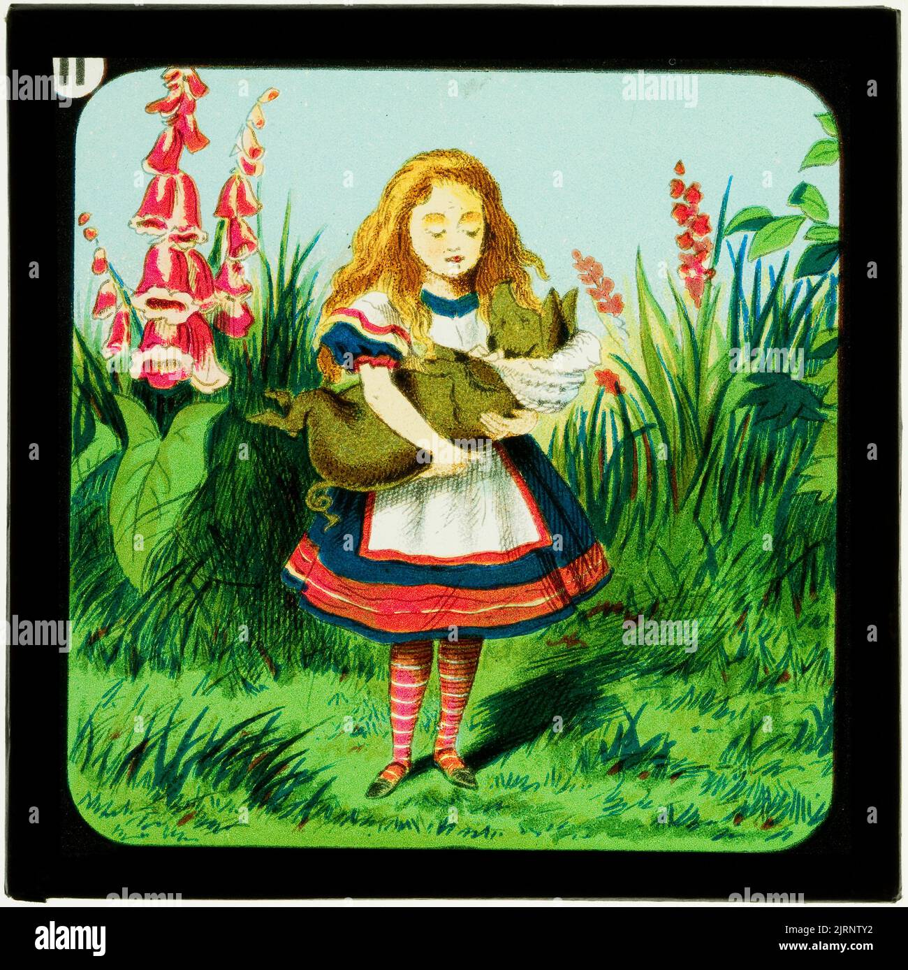 Alice au pays des merveilles (partie 2), Mad Tea Party: Alice Capa the Baby, vers 1900, Londres, par W. Butcher & Sons, Sir John Tenniel. Banque D'Images