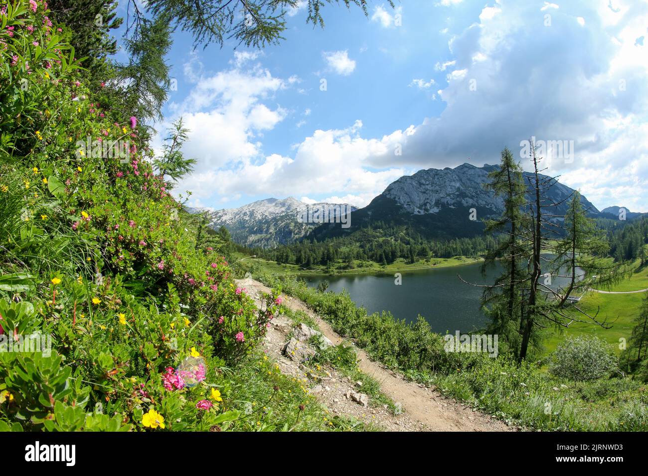 L'image de la belle nature en Autriche à Tauplitzalm dans les Alpes. Banque D'Images