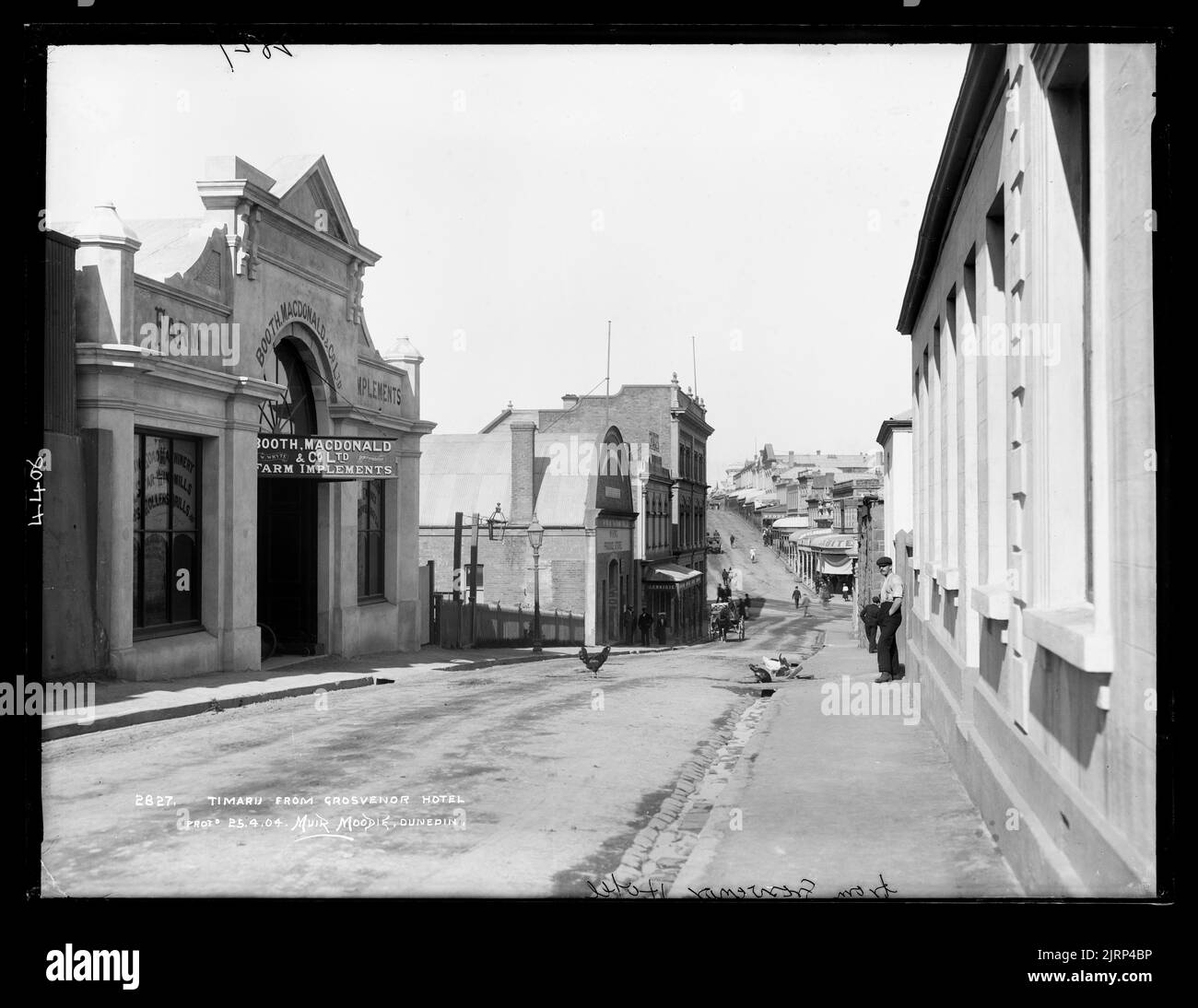 Timaru, de Grosvenor Hotel, Nouvelle-Zélande, en direction de Muir & Moodie. Banque D'Images