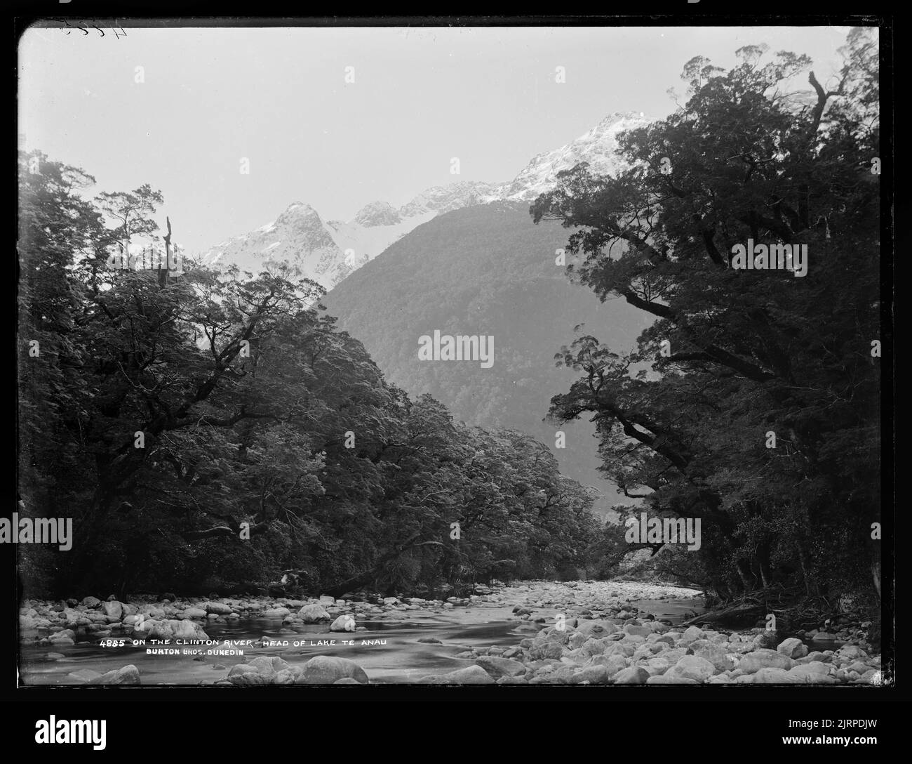 Sur la rivière Clinton, direction du lac te Anau, 1889 ans, Dunedin, par Burton Brothers, Alfred Burton. Banque D'Images