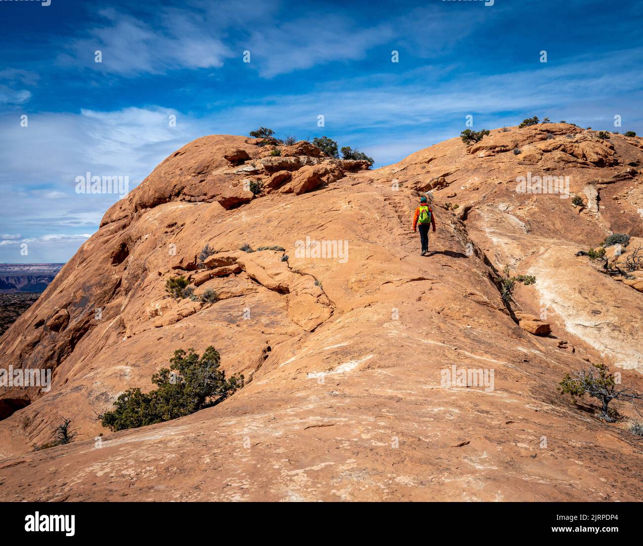 Randonnée dans le rocher du Srupt Dome, dans le parc national de Canyonlands, dans l'Utah Banque D'Images