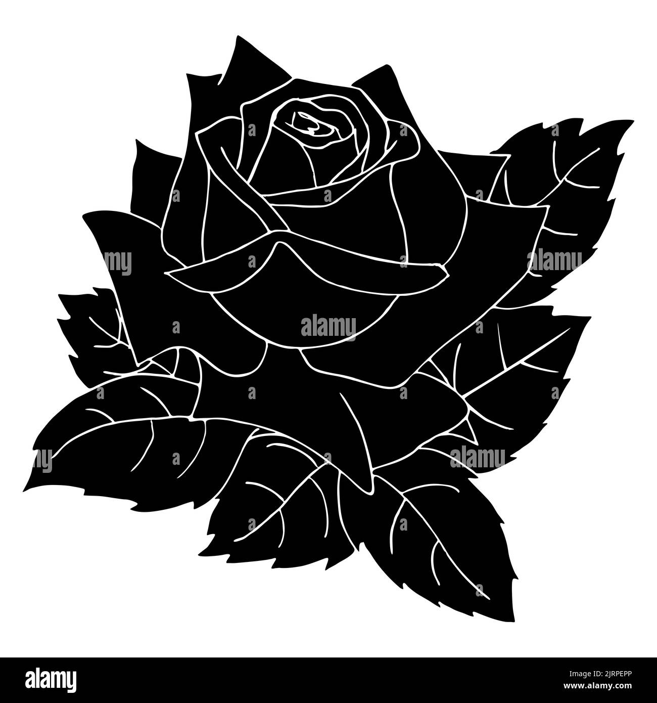 silhouette noire d'une rose gros plan sur fond blanc, silhouette d'une fleur, dessin graphique, design Banque D'Images