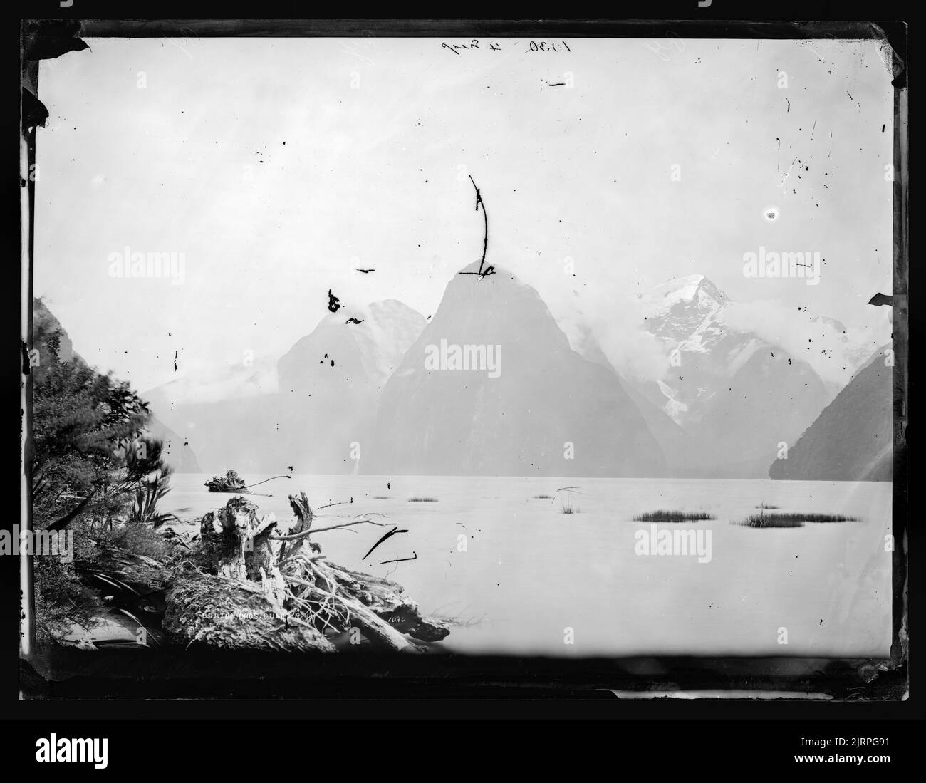 [Pembroke Peak et Lion d'eau douce], 1879, Dunedin, par Burton Brothers, Alfred Burton. Banque D'Images