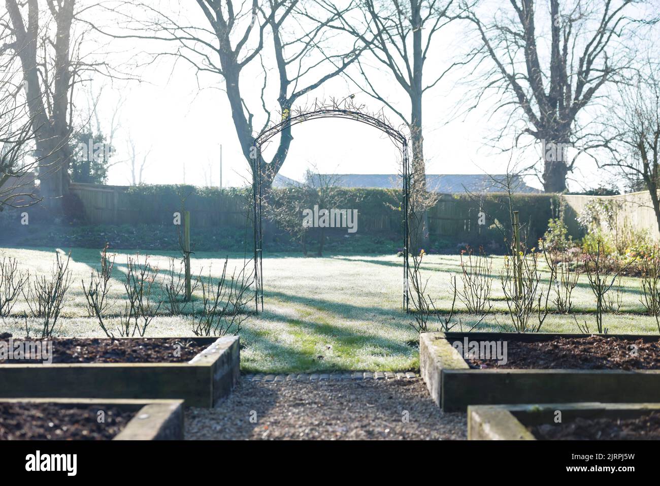 Grand jardin anglais en hiver, Royaume-Uni, avec rosiers, arche, et lits surélevés dans une zone végétale Banque D'Images