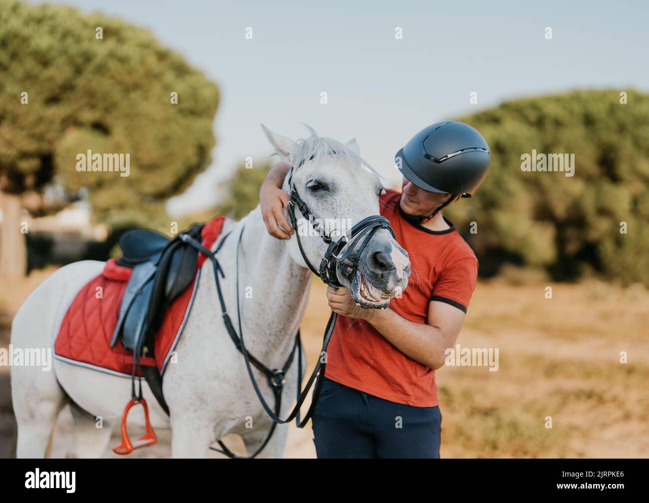cheval blanc profitant de la dorloter de son jeune propriétaire Banque D'Images