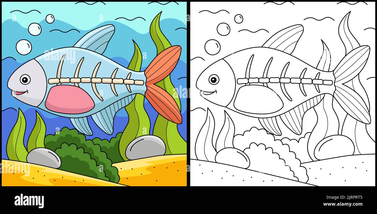 Illustration de la page de coloriage animal de poisson à rayons X. Illustration de Vecteur