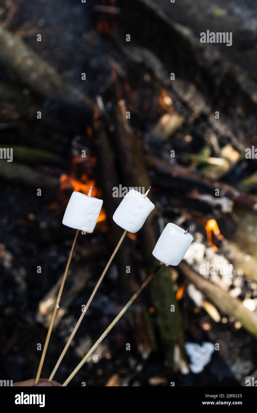 Toasting marshmallow on a stick Banque de photographies et d’images à haute résolution Alamy
